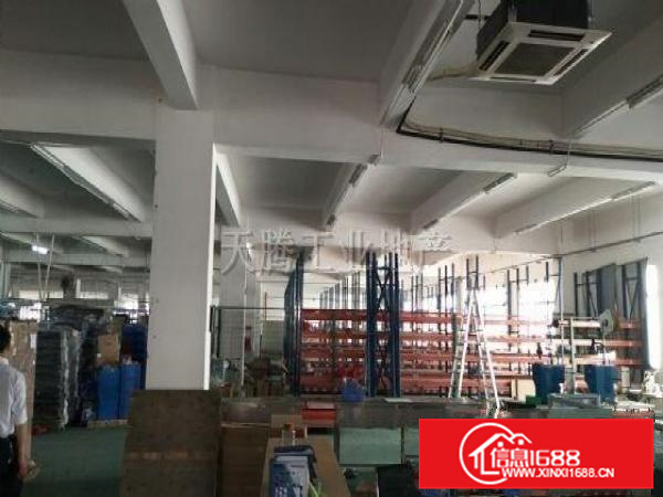 勒流富安3层标准厂房出租14000方，规划齐全