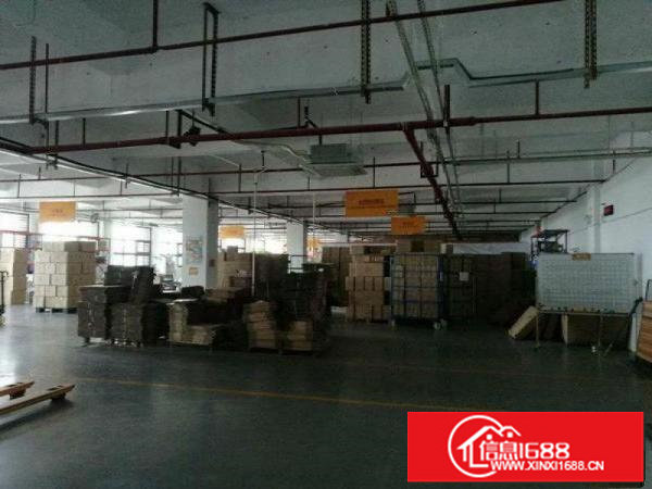 平湖丹平快速附近5楼全新装修1180平米出租