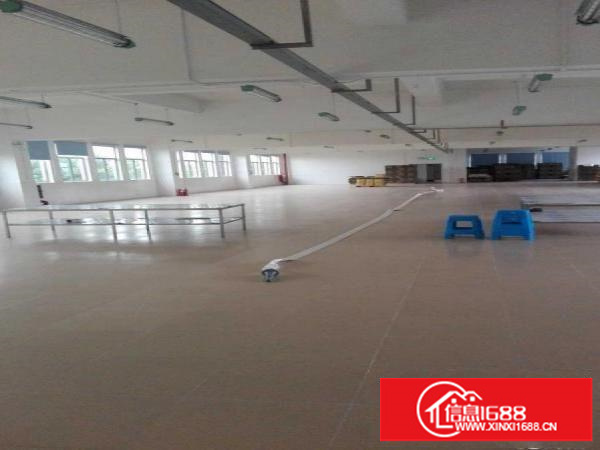 平湖新木楼顶铁皮顶厂房800出租，只8元，适合皮草，油边行业