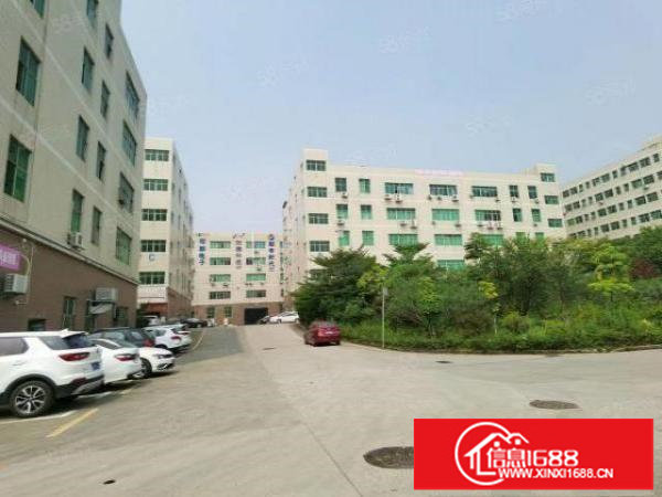 观澜桂花高速路口花园式一楼580平厂房出租