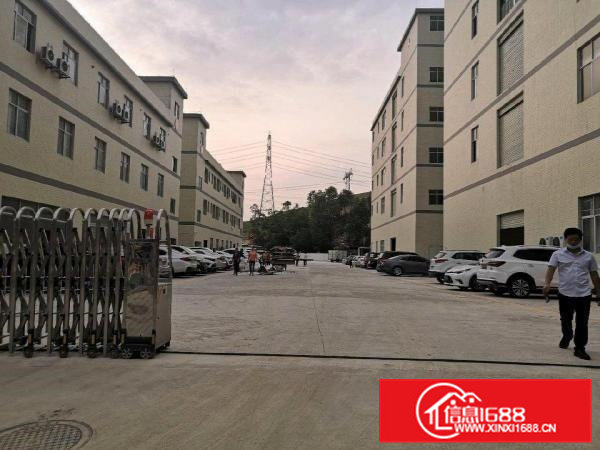 清溪新出楼上四楼标准厂房1226平米带装修招租