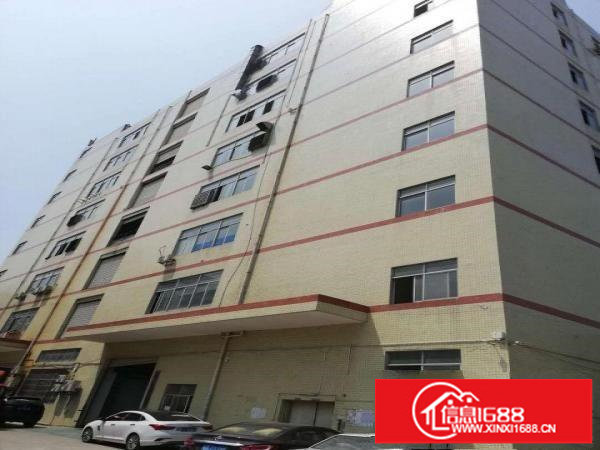 松岗江边新出一楼一千六百平独院厂房