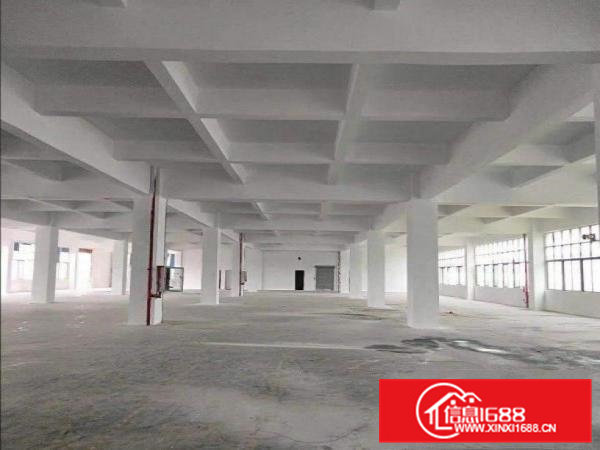 山厦(原房东独院现成环评）一楼1800平标准厂房