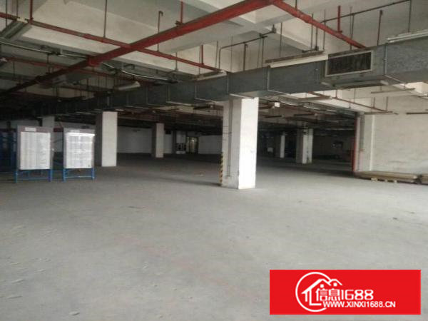 电子车间！独院2楼550平方现成装修拎包即生产