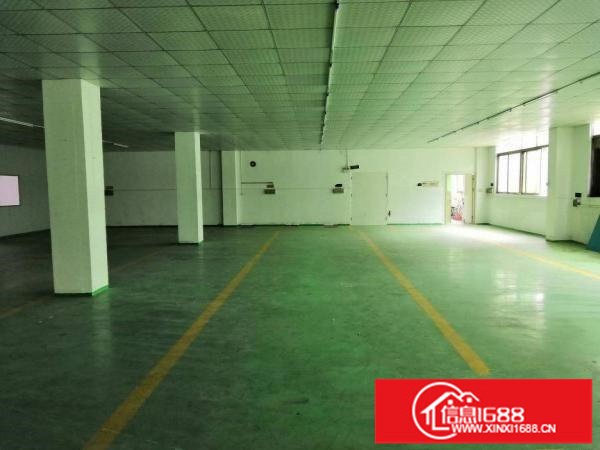 龙岗新生新出精装修标准厂房550平，水电现成，可办环评