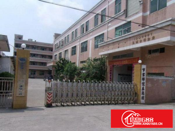 万江简沙洲独院标准厂房5700平方出租配独立变压器水电齐全