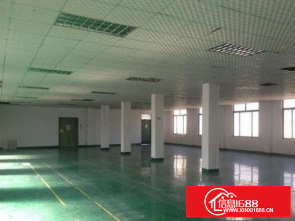 惠州新墟独门独院标准厂房5300平方出租500平起分租