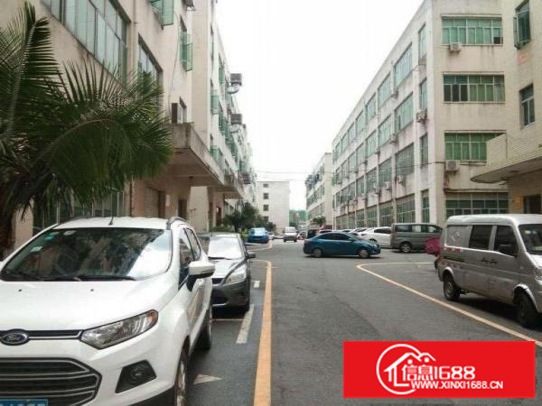 坪山三洋湖新出楼上标准厂房500平方出租