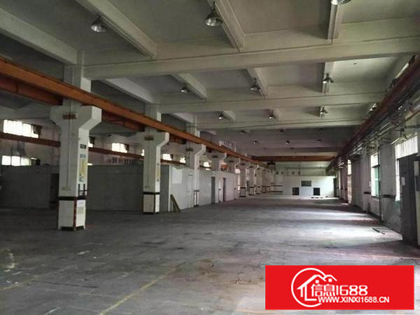 常平厂房出租3200平方有塑胶抽粒环评原房东独门独院出租