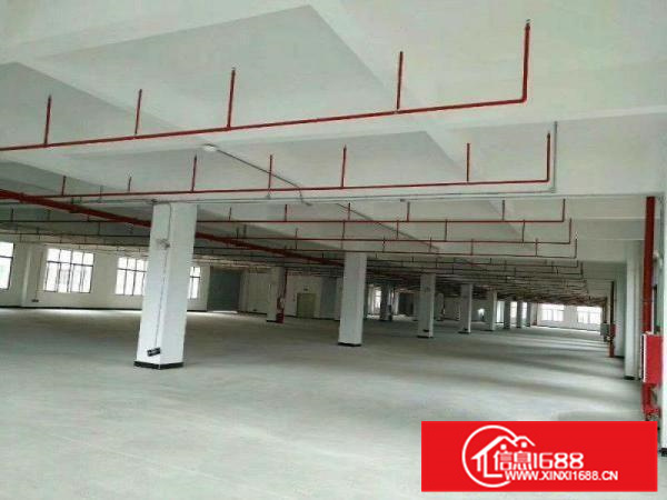 园洲全新重工业厂房出租，15层共5800m,包办环评。