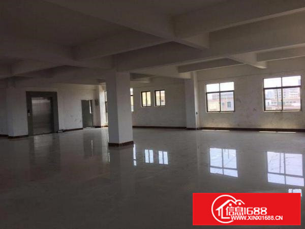 高英文化体育馆旁新建电梯厂房