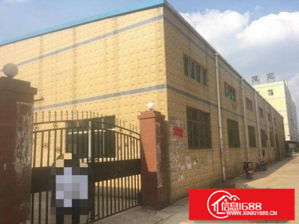 惠阳新圩原房东钢构2500平米滴水七米面积实在