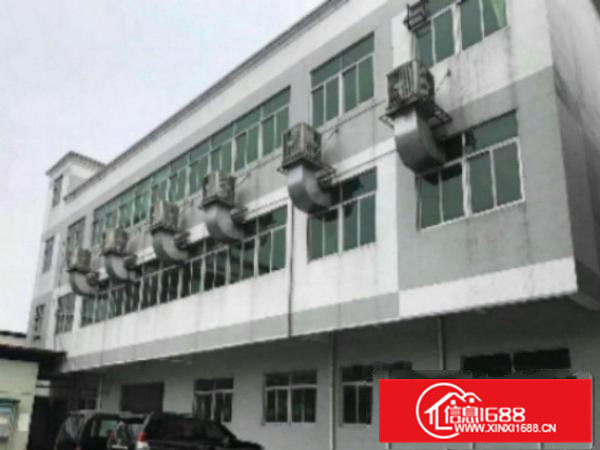 高埗九成新经典独院标准楼房厂房宿舍10000平方出租