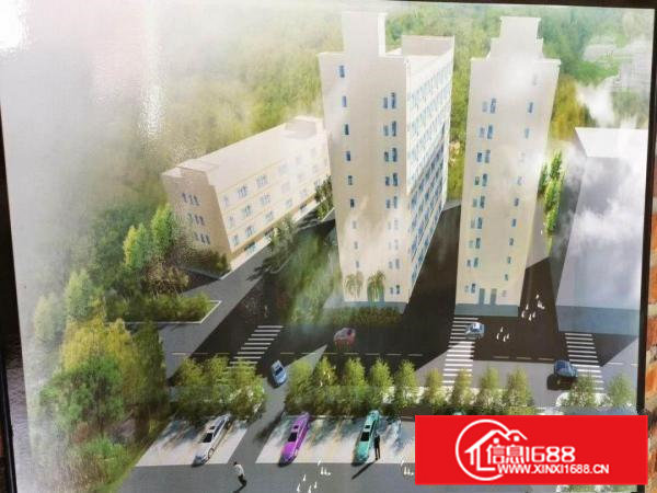 低价标准800—5000厂房