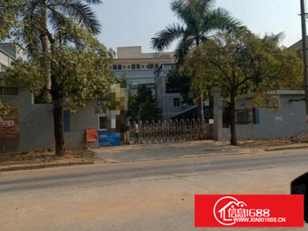 新空出原房东独院标准厂房5600平方，形象好，交通方便好招工