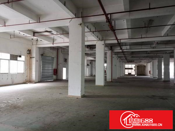 5层独栋14000平方，层高6.5米有喷淋