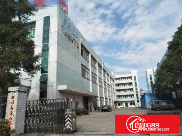 大朗新出原房东独院5500平方带水电装修急租