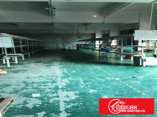 塘厦科苑城楼上1000平，房东接受电池行业