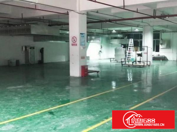 三楼带电梯，办公室、水电全仅租8.5元每平米