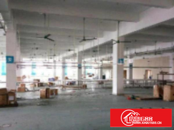 万江工业区标准厂房一楼1400平方招租配电80干瓦，空地