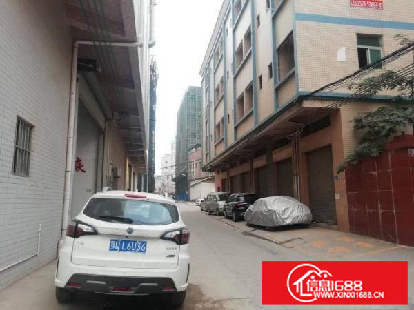 大岭山107国道附近一楼300平原房东厂房出租带行车