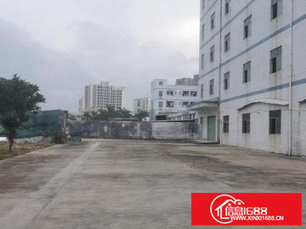 坑梓金沙村委独院厂房出租5440平米可以分层租空地3千免费用