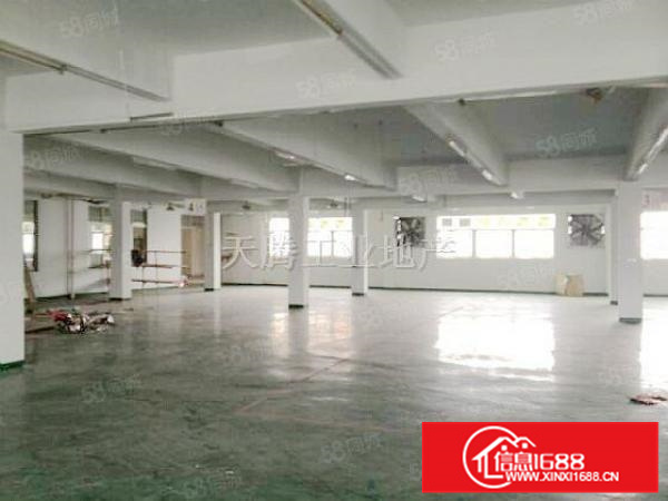 （出租）厂房陈村独院首层水泥结构仓库加工生产