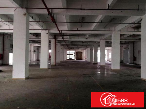 布吉上李朗工业园物业直租整层2800平可分租无行业限制