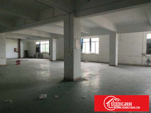 漂亮独院厂房出租了500平米，低价出租