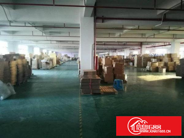 寮步井巷原房东独院厂房出租8600平方,九成新