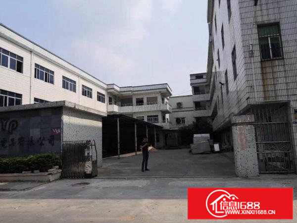 黄江北岸独院7000平可分租真图片