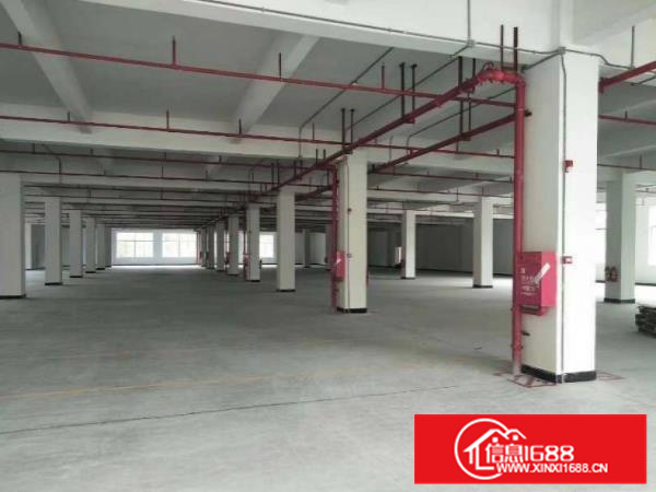 本人转租罗阳小金1楼1000平花园式厂房带办公室装修