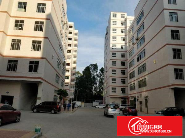 凤岗竹塘刷绿色地坪漆厂房出租1500平水电齐全