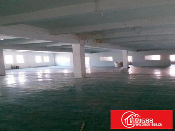 常平大道旁独栋标准厂房3000平米