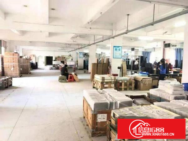 坪山碧岭金碧路边一楼600平厂房招租，带装修办公室