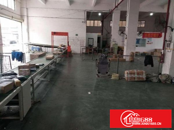 带地坪漆，容桂扁滘标准一楼750方，证照齐全。