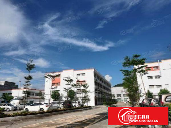 石岩塘头大道新出楼上520平精装修无转让费厂房出租