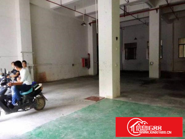 出租龙岗区坪地四方埔标准一楼800平方厂房