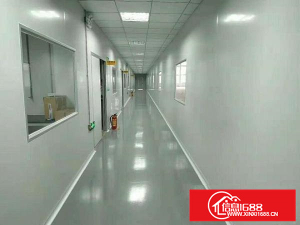 陈江金铂奇工业园带装修砖墙到顶新钢构2100平招租