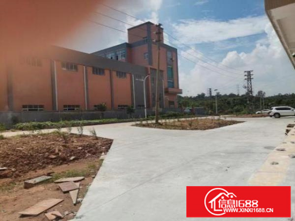 南海丹灶新出标准厂房原房东带消防喷淋带牛腿位两层带电梯