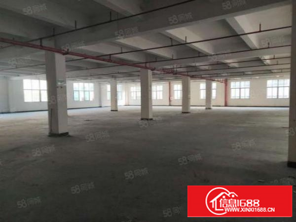 石排赤坎标准一楼1100方出租租20元，水电齐全，有现成行车