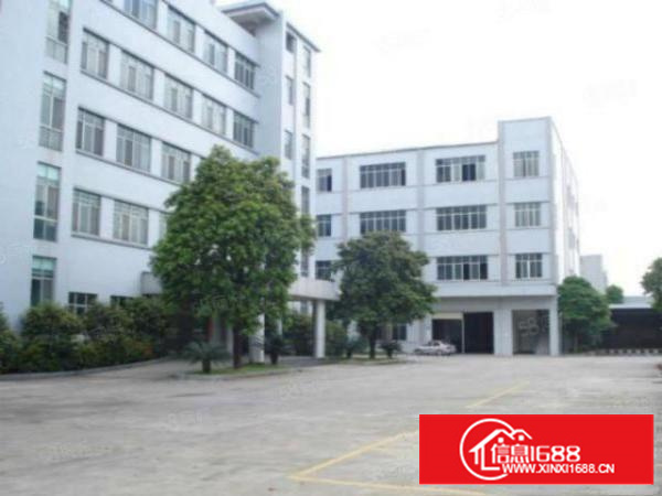 万江简沙洲新出标准厂房一楼560平