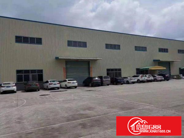 出租大朗松柏朗工业区新出1900平方单层钢构厂房滴水7米