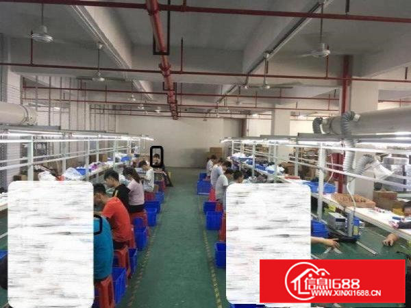 凤岗天堂围水电齐全厂房出租800平精装修办公室