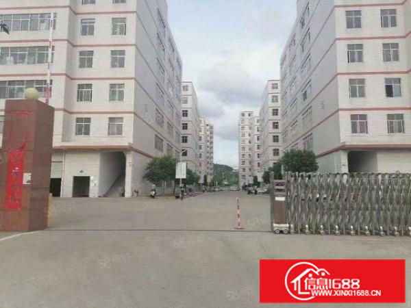 凤岗镇官井头村委楼上10元厂房出租2000平出租200起分