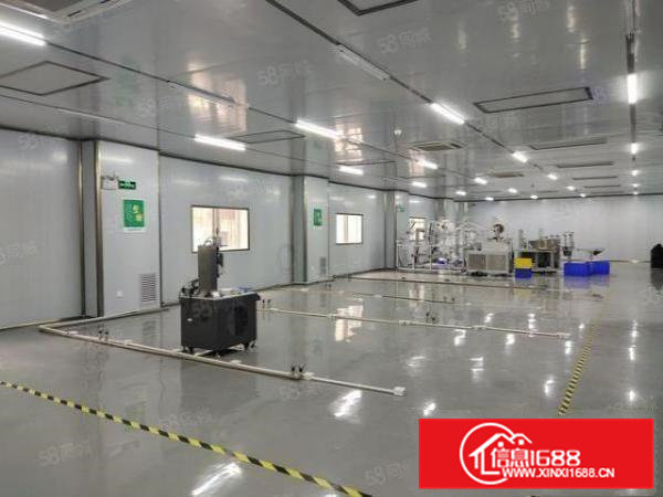 清溪三中工业园区1300平原房东无尘车间仓库厂房出租可分租