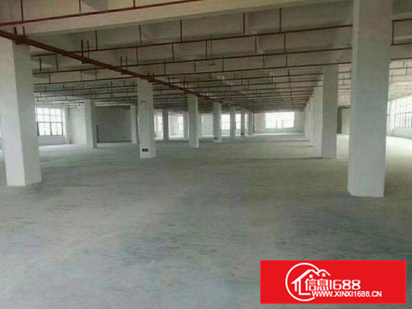 惠阳新墟转租1000平方二楼厂房可分可整