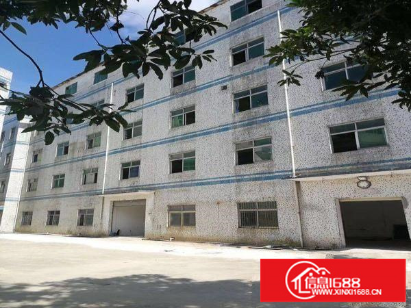 横岗横岗独门独院厂房出租厂房5250平米