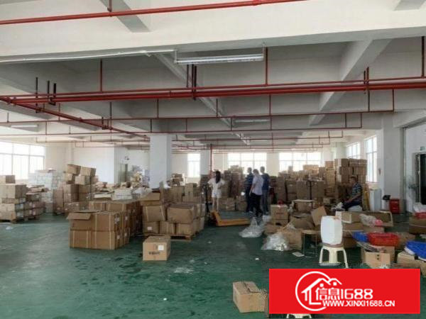 北面标标准一楼厂房400平方招租，原房东