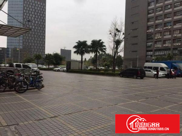 丹竹头新建厂房带装修厂房出租2000平（可分租）